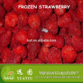 iqf frozen strawberry import and export